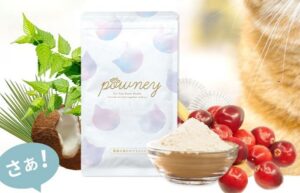 パウニー(猫)の販売店や取扱店舗は？最安値はどこか徹底比較！